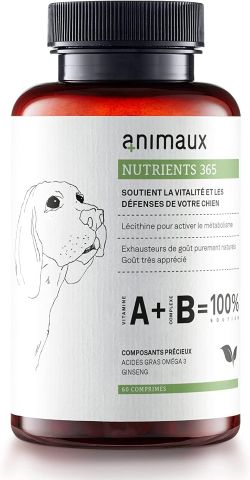 Vitamines pour chiens